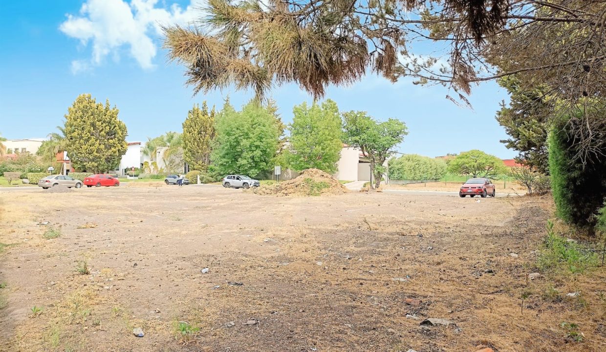 terreno campanario13